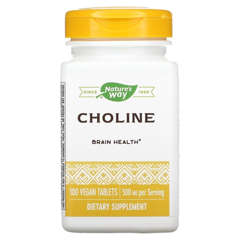 CHOLINE 500mg 100 tabs NW