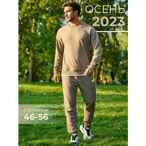 Костюм PRO ACTIVE, толстовка и брюки, свободный силуэт, карманы, размер 56, коричневый