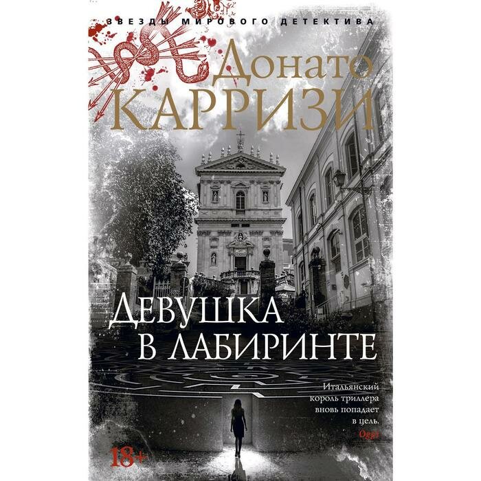 Девушка в лабиринте (Карризи Донато) - фото №5