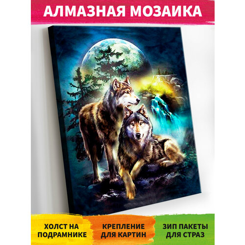 Алмазная мозаика на подрамнике 40х50 см 