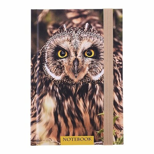 Записная книжка Академия Холдинг 96 листов, А6 