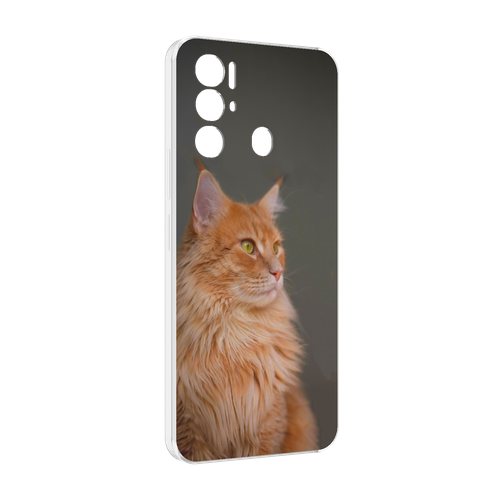 Чехол MyPads кошка мейн кун 1 для Tecno Pova Neo 4G задняя-панель-накладка-бампер