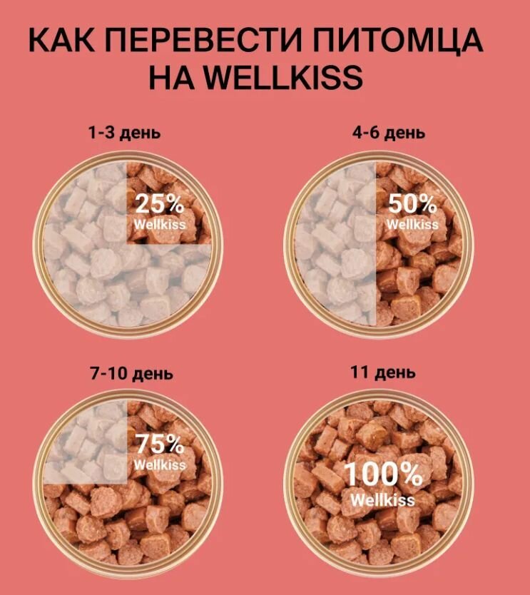 12 штук Wellkiss Kitten Влажный корм (пауч) для котят, с ягненком и говядиной в соусе, 85 гр. — фото 1