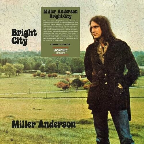 Anderson Miller Виниловая пластинка Anderson Miller Bright City 0602438622993 виниловая пластинка may brian another world