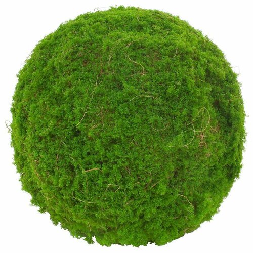 Nobilis Marco Plants шар из мха искусственный, D30