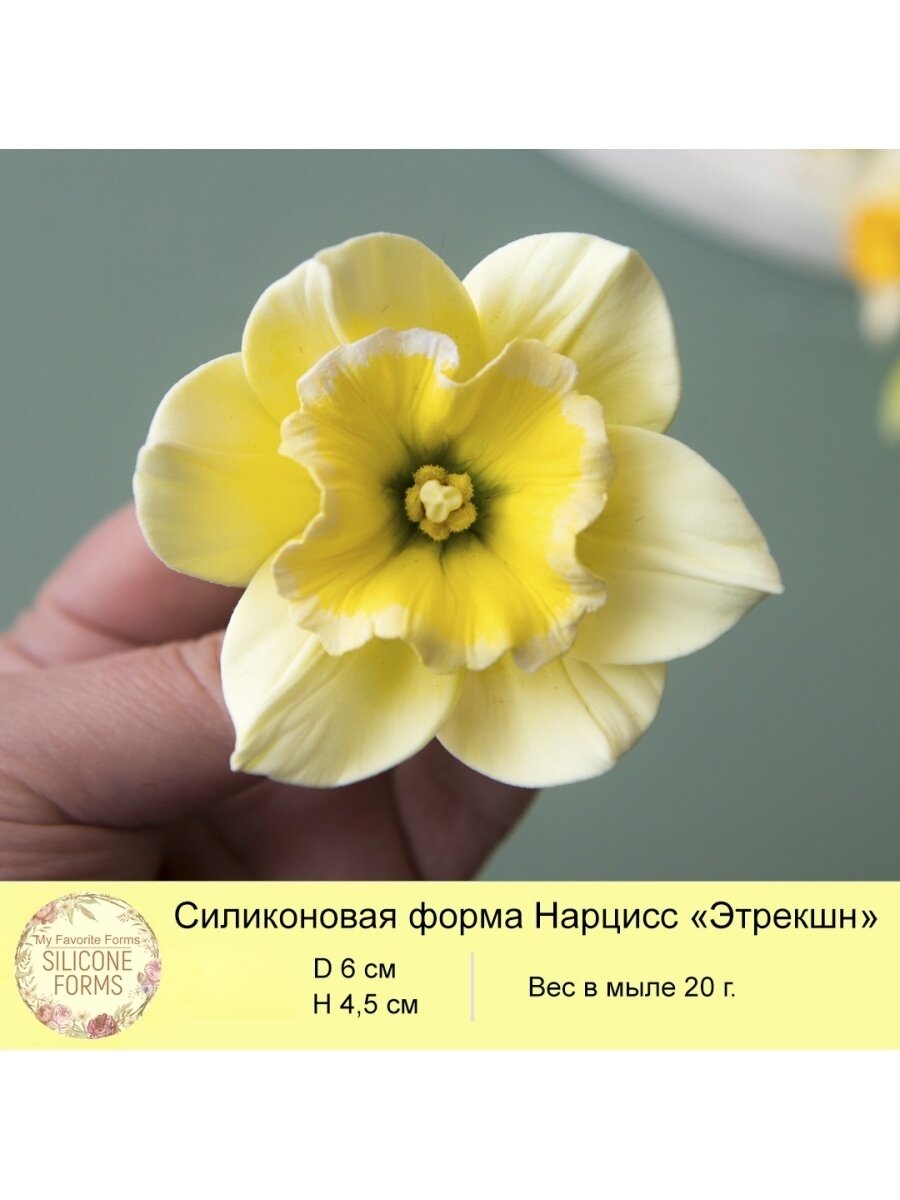 Силиконовая форма для мыла Нарцисс 