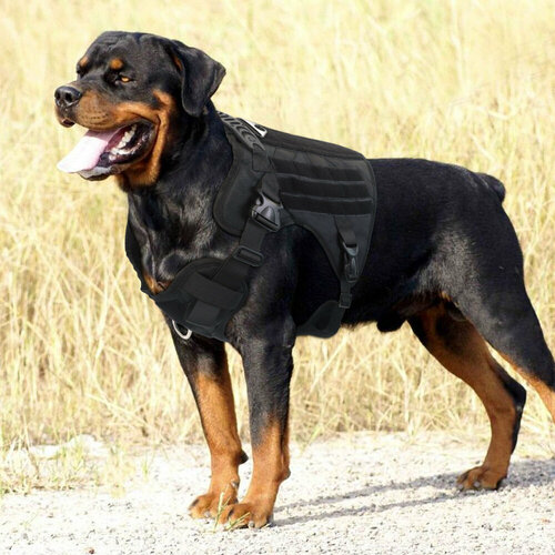 Тактическая шлейка для собак / размер L / профессиональный тактический жилет для собак средних пород. Регулируемая прогулочная шлейка шлейка жилет для собак dogmoda клетка бордо 1 13см