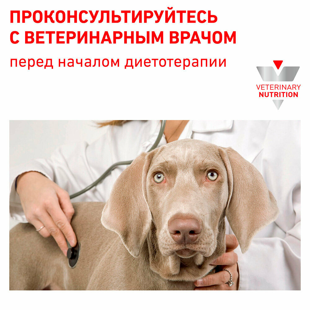 Корм сухой для взрослых собак при лечении и профилактике мочекаменной болезни Urinary s/o LP 18 Royal Canin/Роял Канин 2кг РУСКАН Москва-ЮГ ООО RU - фото №12