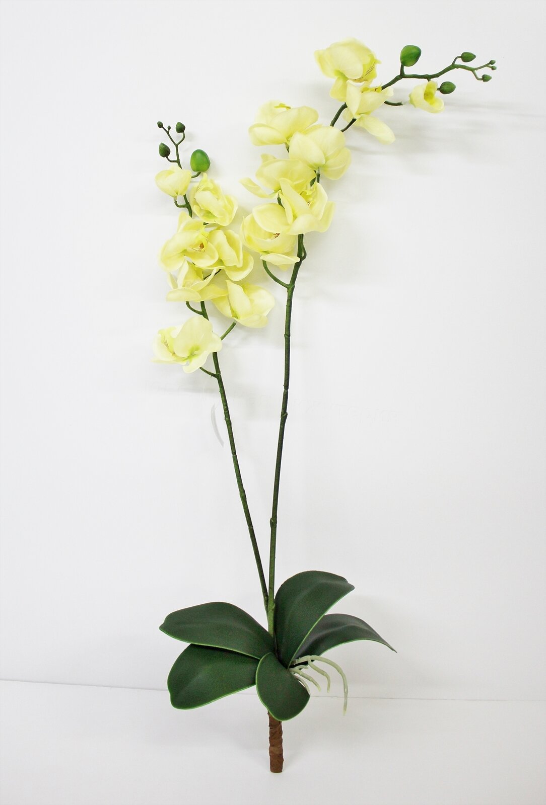 Орхидея фаленопсис с листьями, 90 см.