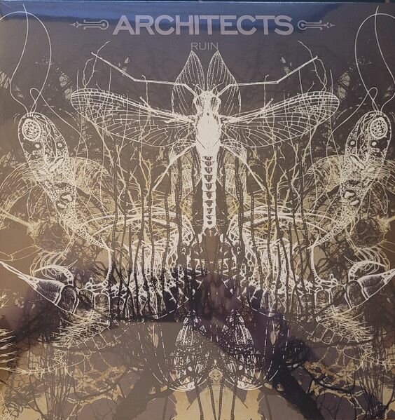 Architects Architects - Ruin (reissue) Мистерия звука - фото №4