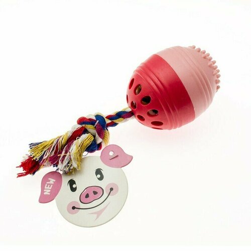 Игрушка для собак, шар с колокольчиком на веревке, 7х7х23 см, Jack&King, 1 шт.
