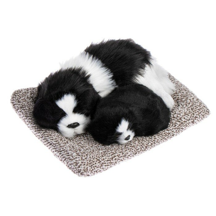 Игрушка на панель авто собаки на подушке бело-черный окрас 9629229