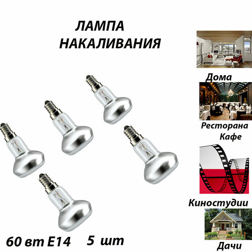 Лампа R50 230-60 E14 5 шт Для киностудии магазина музея выставочного зала складов спортивных объектов фотостудии