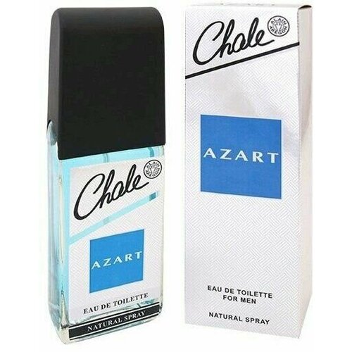 Купить Positive Parfum Туалетная вода мужская Chale Azart, 100 мл, Art Positive