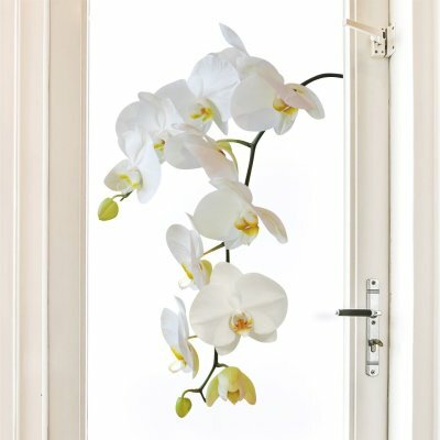 Наклейка интерьерная на стену «Ветка белой орхидеи»