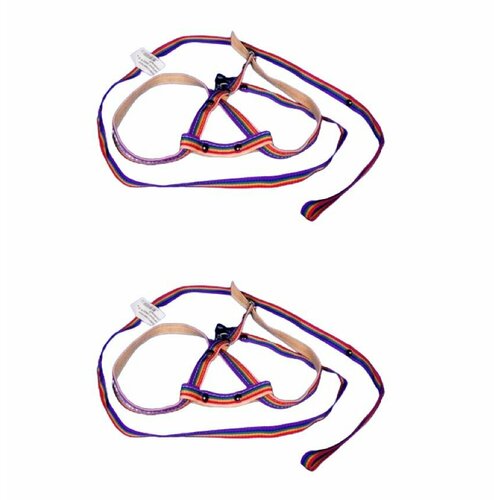 Томикс Комплект для кошек Поводок радуга+шлейка двухслойная, капрон, 1,3м х 12мм, 2 шт