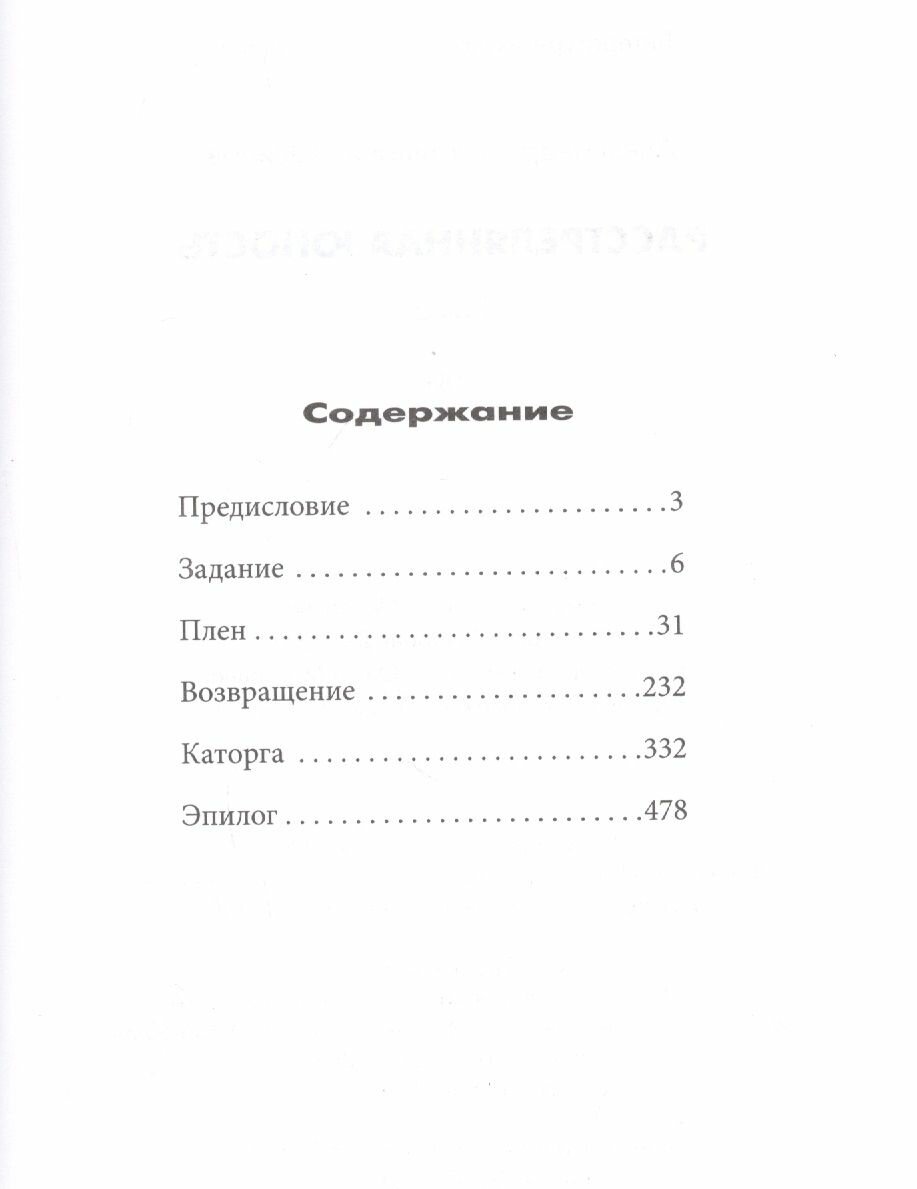 Расстрелянная юность (Осипов А.) - фото №3