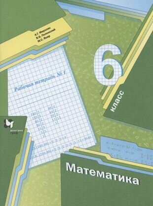 Математика. 6 класс. Рабочая тетрадь № 1