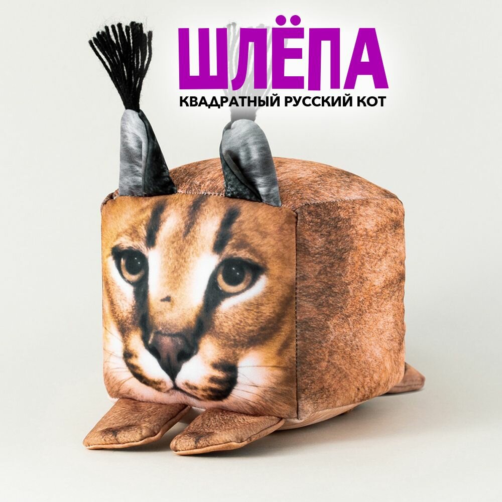 Шлепа купить кот