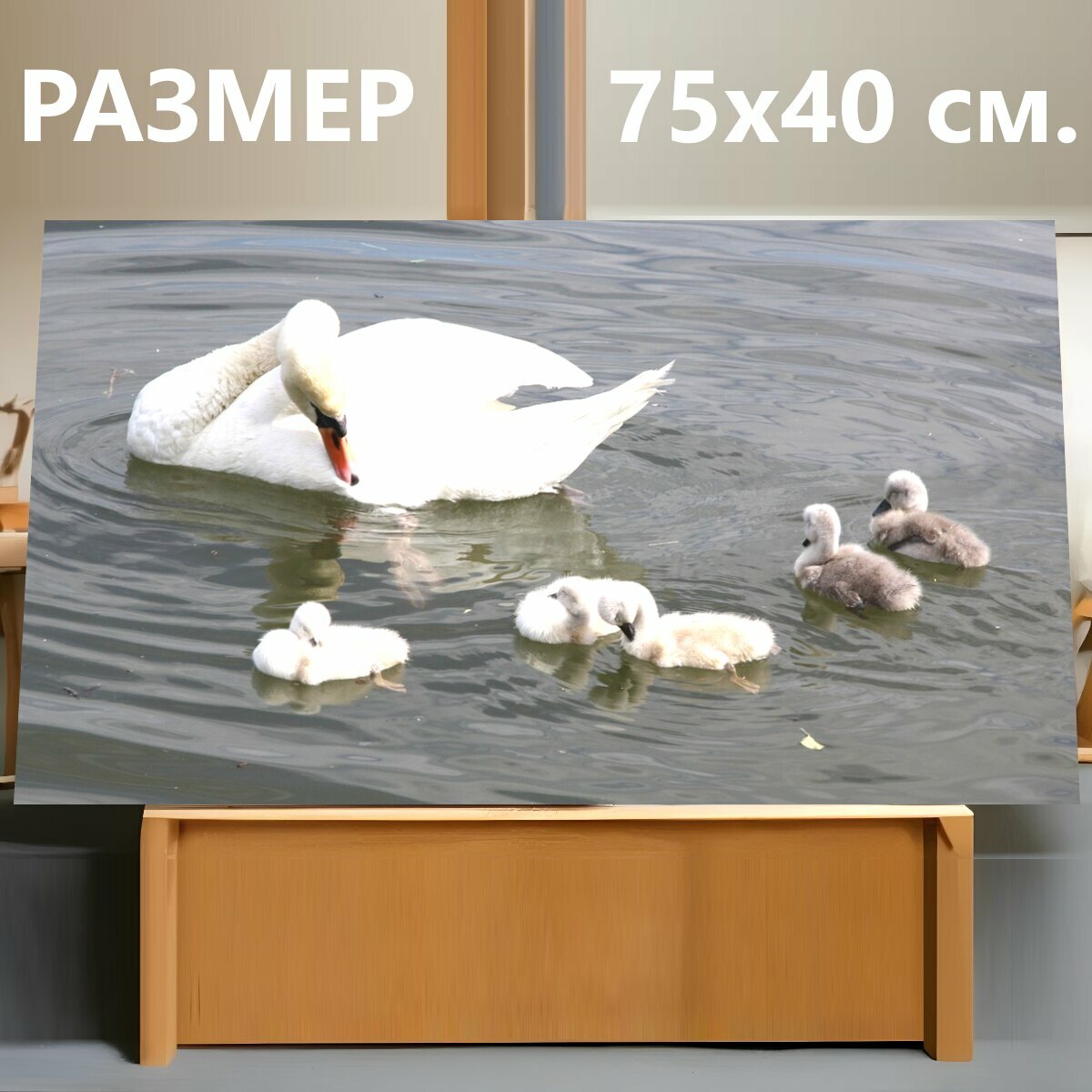 Картина на холсте "Лебеди, детские лебеди, лебединая семья" на подрамнике 75х40 см. для интерьера
