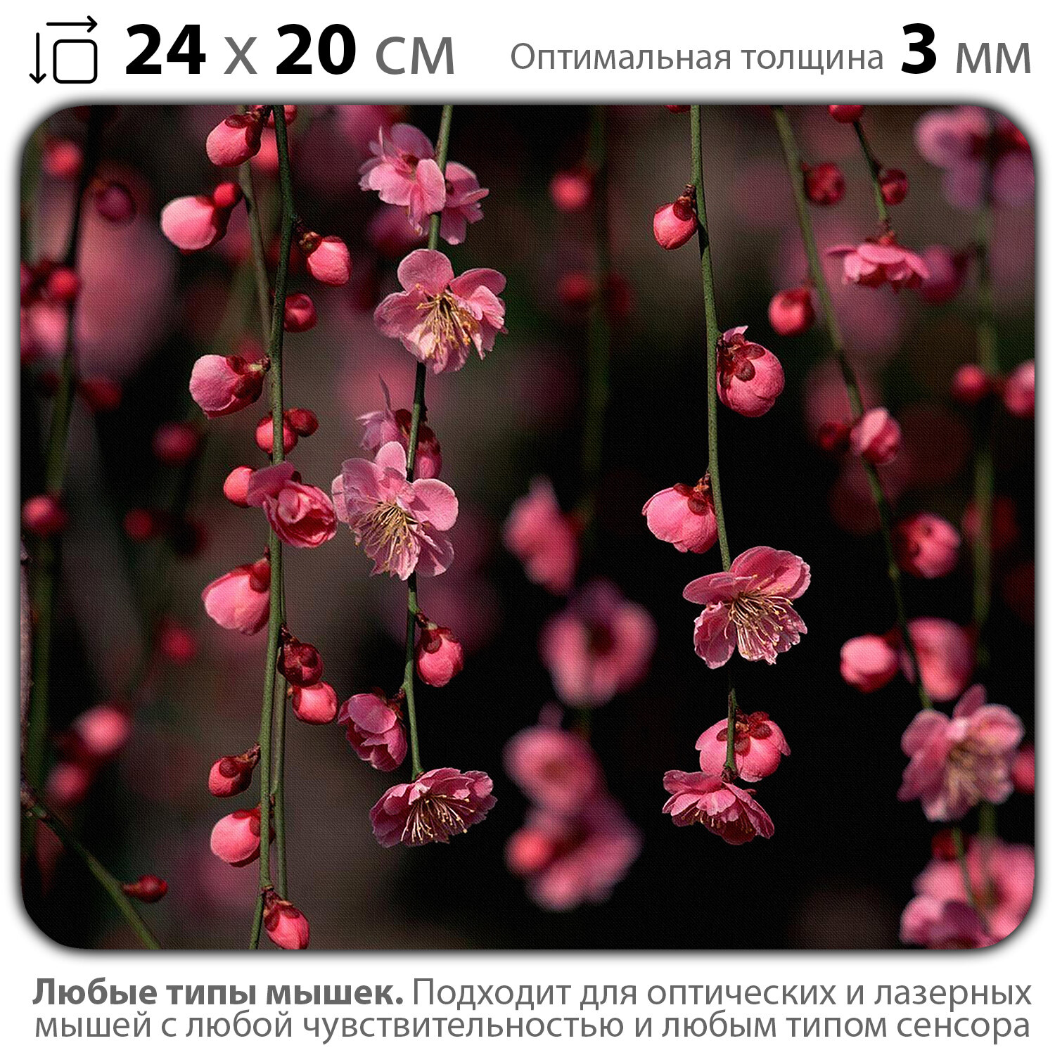 Коврик для мыши "Первоцвет с висящими садами с ветками Сакуры" (24 x 20 см x 3 мм)