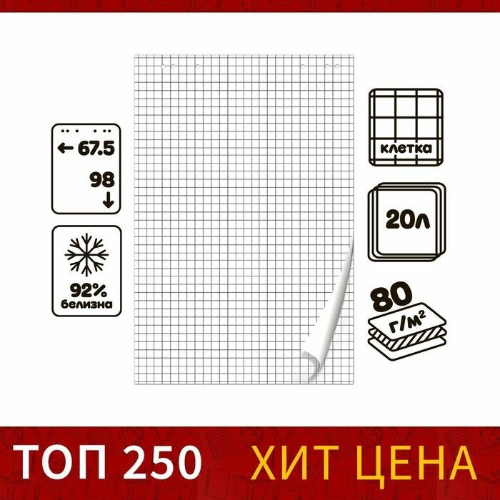 Блокнот для флипчарта Calligrata в клетку, 67,5х98 см, 20 листов, 80 г/м2, белизна 92%