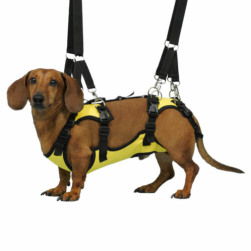 Полная поддержка для маленьких собак