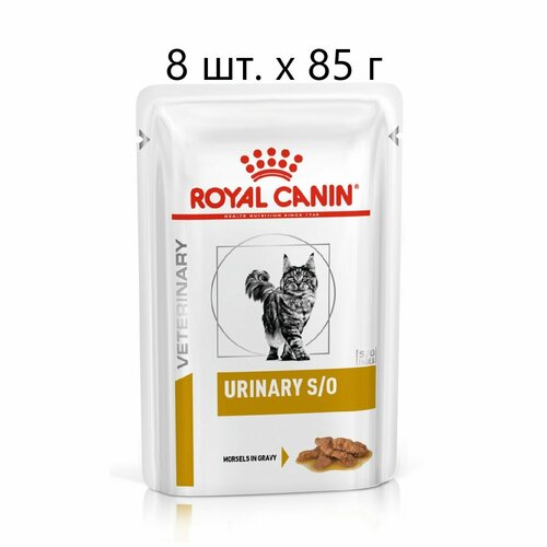 Влажный корм для кошек Royal Canin Urinary S/O, для лечения МКБ, с курицей, 8 шт. х 85 г (кусочки в соусе)