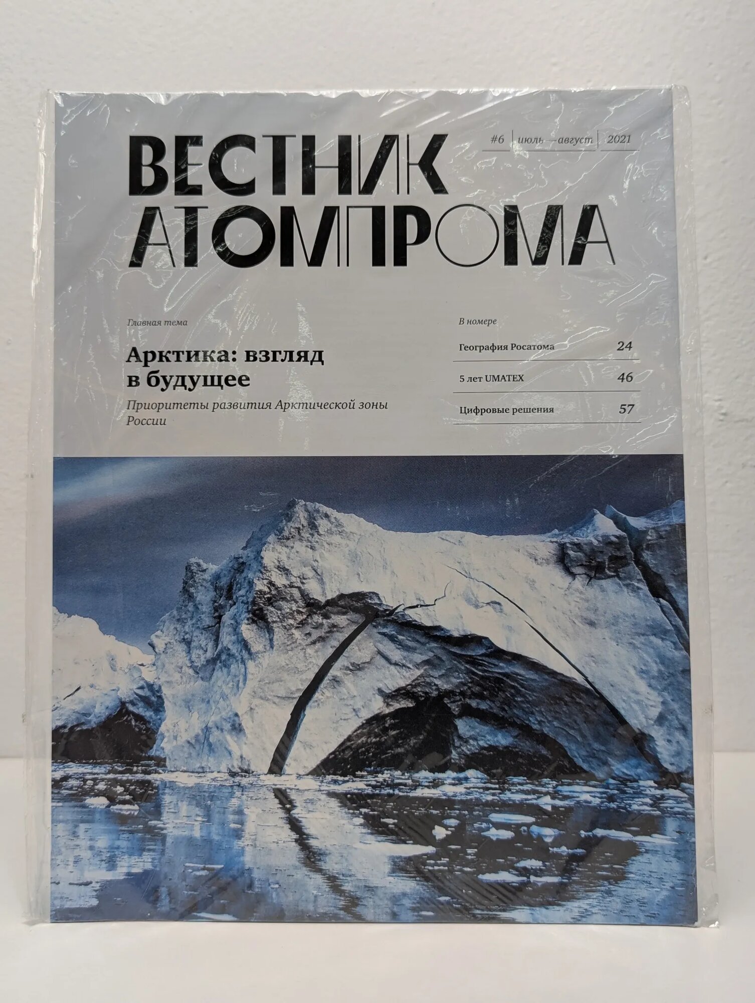 Вестник атомпрома. Выпуск № 6/2021 Большов Леонид (ред.) 2021