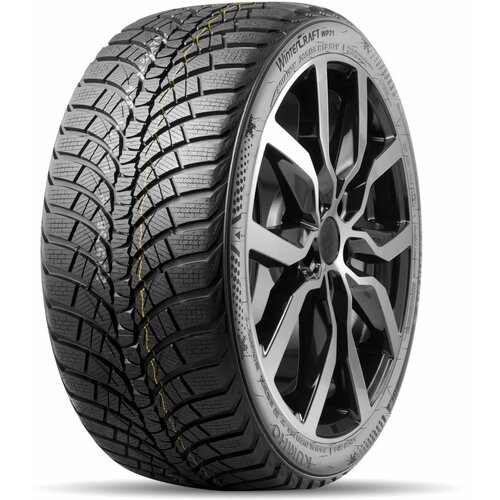 Шины зимние WP-71 XL 225/50 R16 96 V