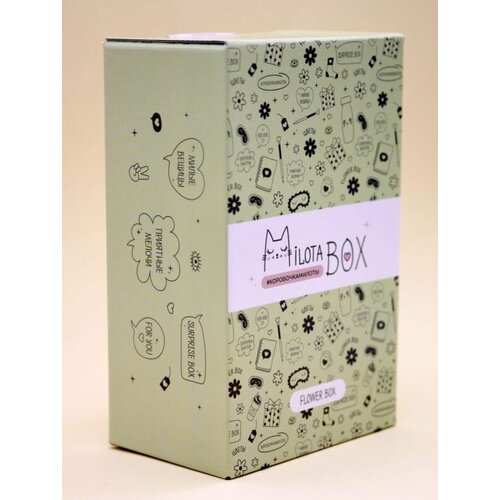 Айлайк MBS022 MilotaBox mini 