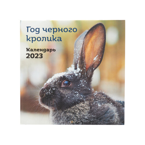 Календарь настенный Год черного кролика на 2023 год календарь магнитный на 2023 год год кролика друзья среди ромашек