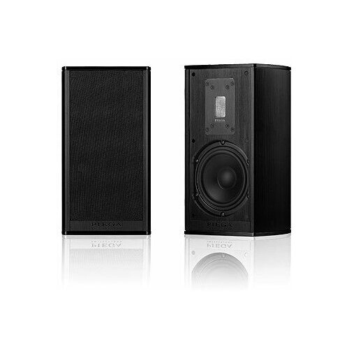 Полочная акустика Piega Premium 301 Wireless AB 37400000₽