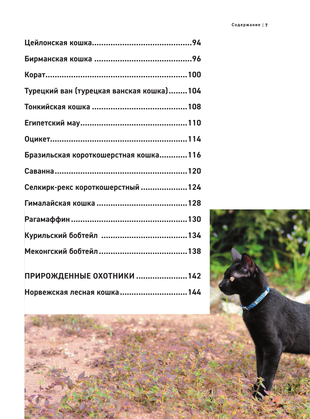 Все породы кошек. Большая иллюстрированная энциклопедия - фото №19
