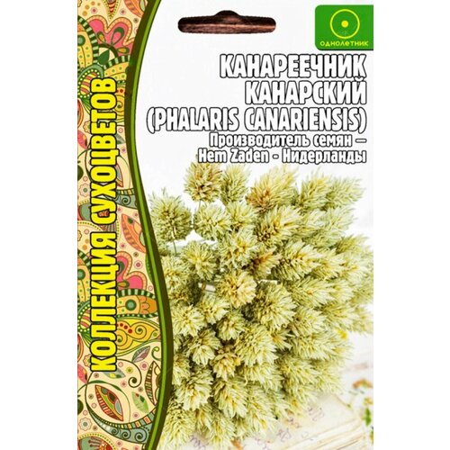 Канареечник Канарский, семена 0,2 г, 1 пакет, сухоцвет, ЧК