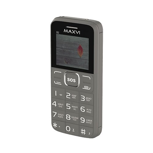 Телефон MAXVI B2 серый