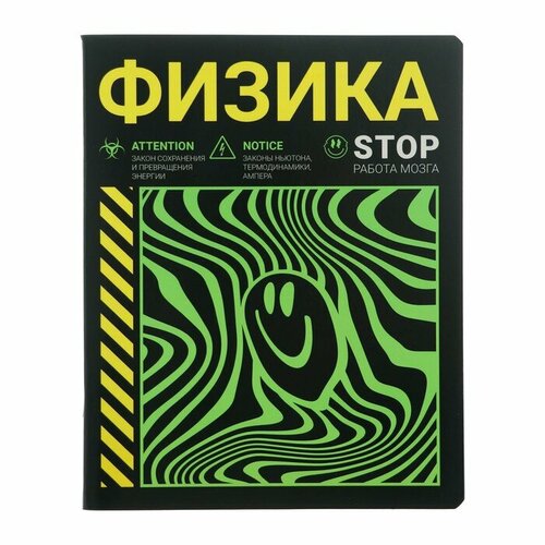 Тетрадь предметная Неоновый смайл, 48 листов в клетку Физика, обложка мелованный картон, неоновая краска, блок 65 г/м