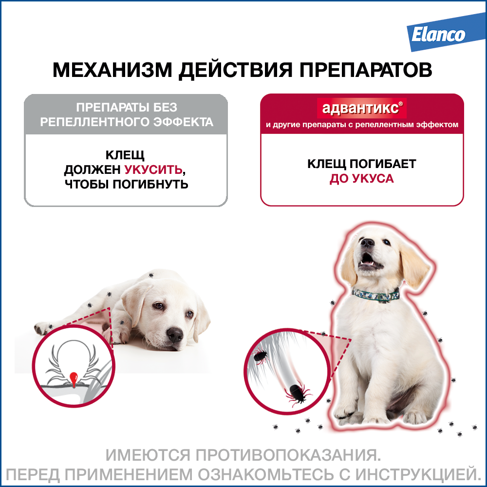 Капли для собак BAYER - фото №4