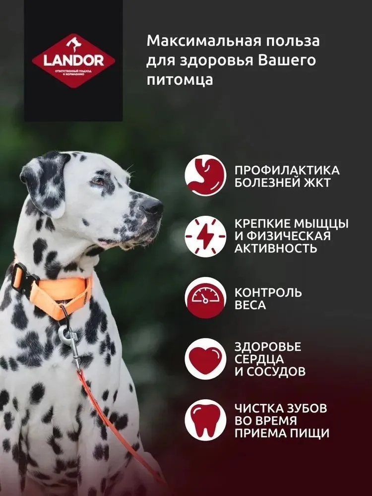 Landor полнорационный сухой корм для взрослых собак cредних и крупных пород (Индейка и лосось, 15 кг.) - фото №5