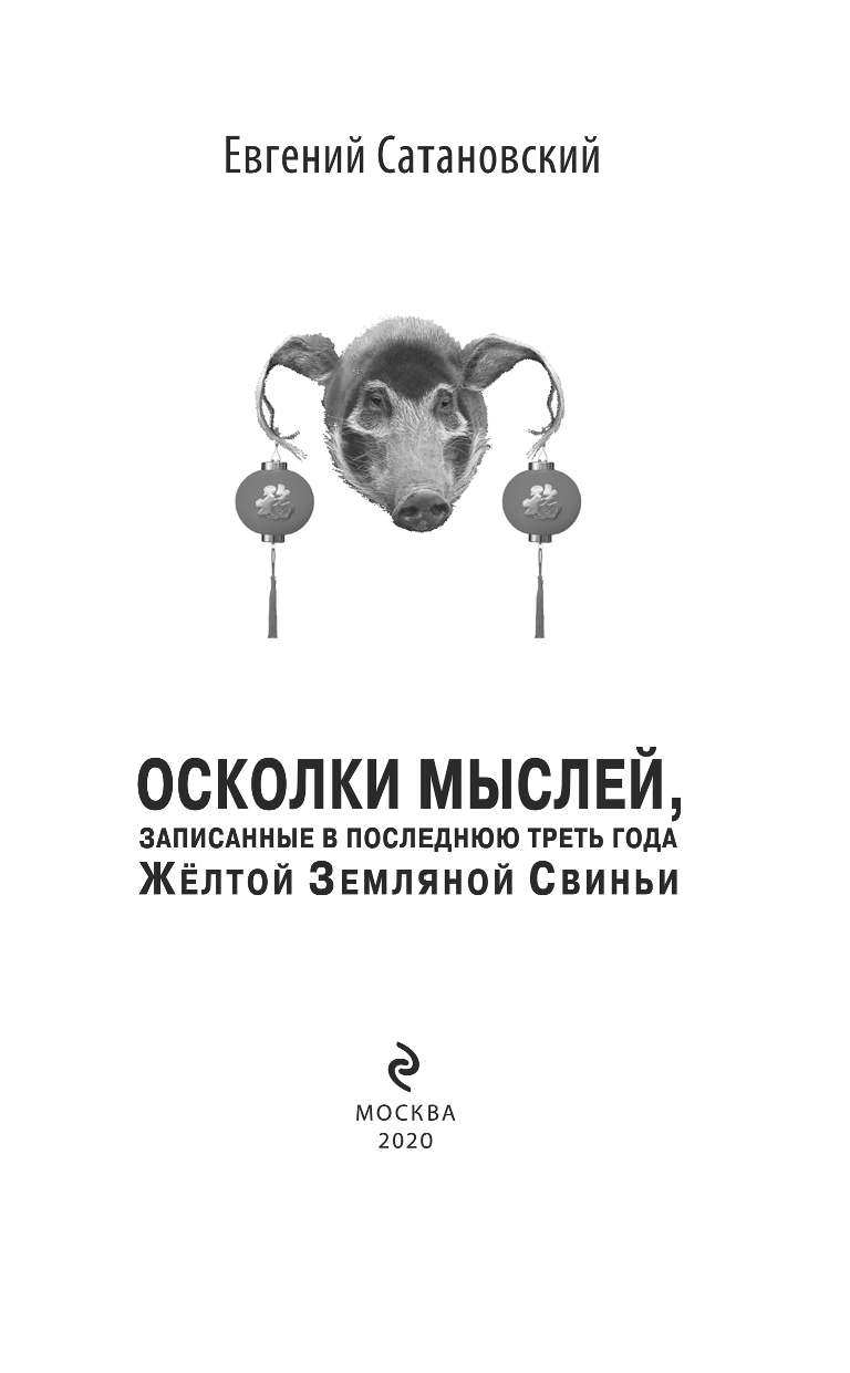 Осколки мыслей, записанные в последнюю треть года Жёлтой Земляной Свиньи - фото №5