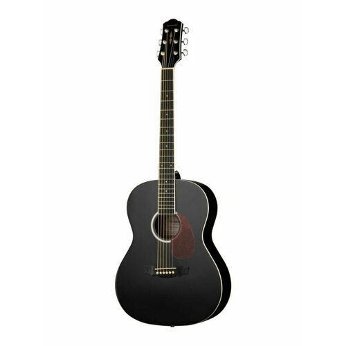 Акустическая гитара Naranda, черный, CAG280BK