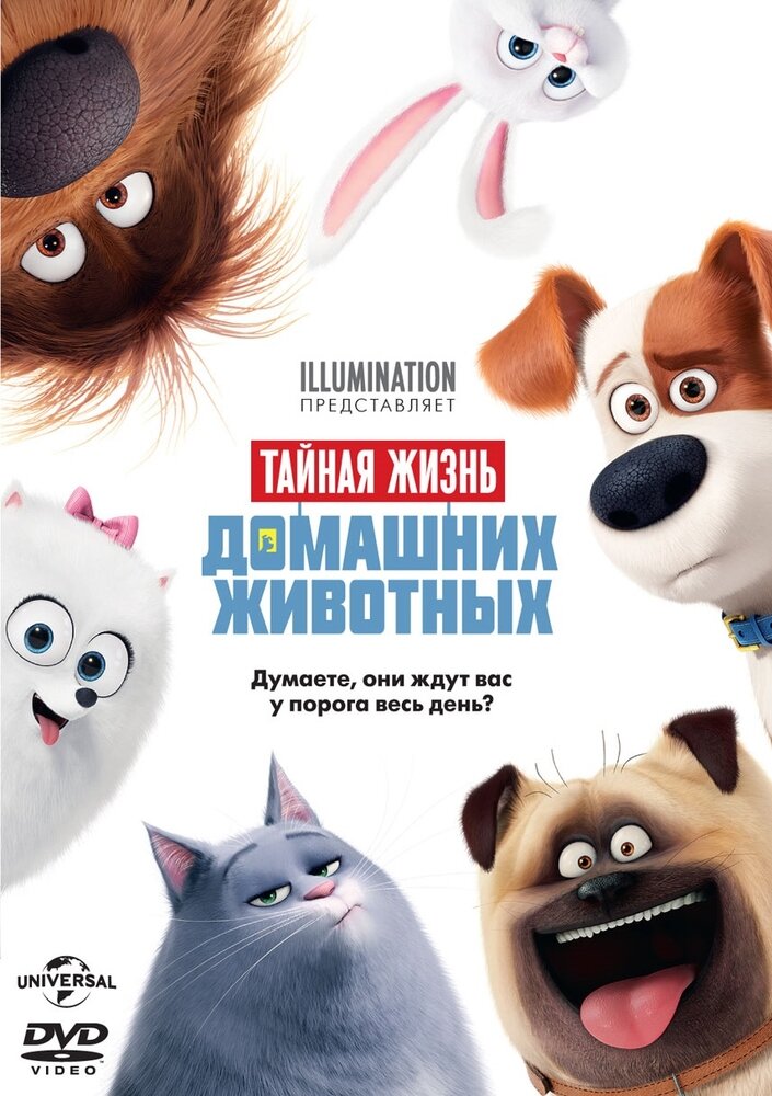 Тайная жизнь домашних животных (м/ф) DVD-video (DVD-box)
