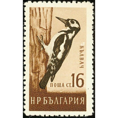 (1959-024) Марка Болгария Дятел Птицы II Θ