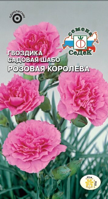 Гвоздика "Седек" Розовая королева 01г