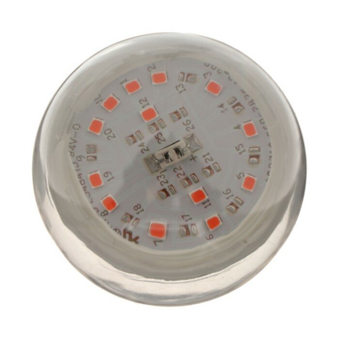 Фитосветильник светодиодный IN HOME , 15 Вт, 230 В, Е27, LED-A60-FITO - фотография № 2