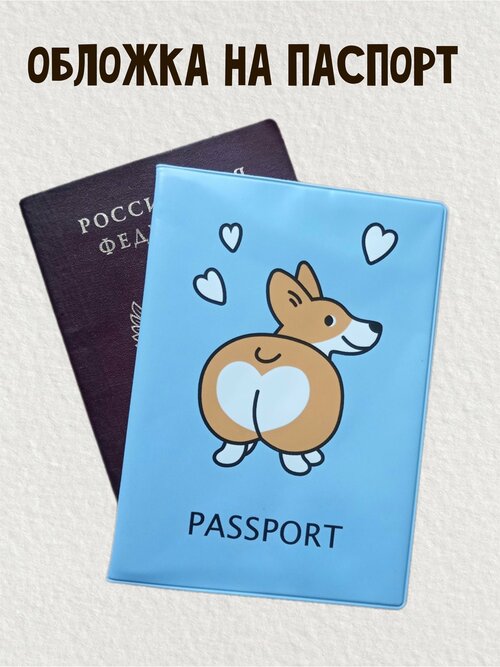 Обложка для паспорта iLikeGift, голубой