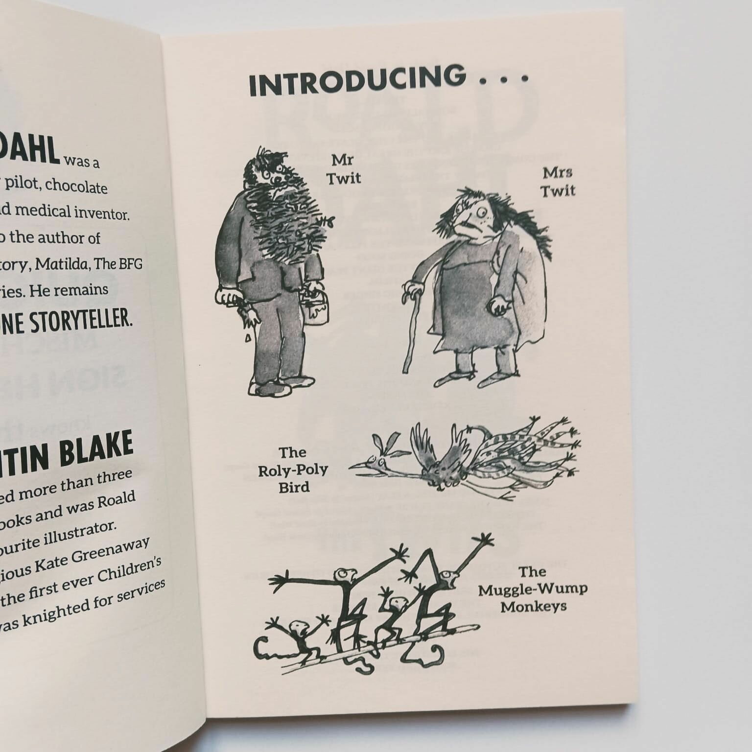 The Twits (Roald Dahl) - фото №6