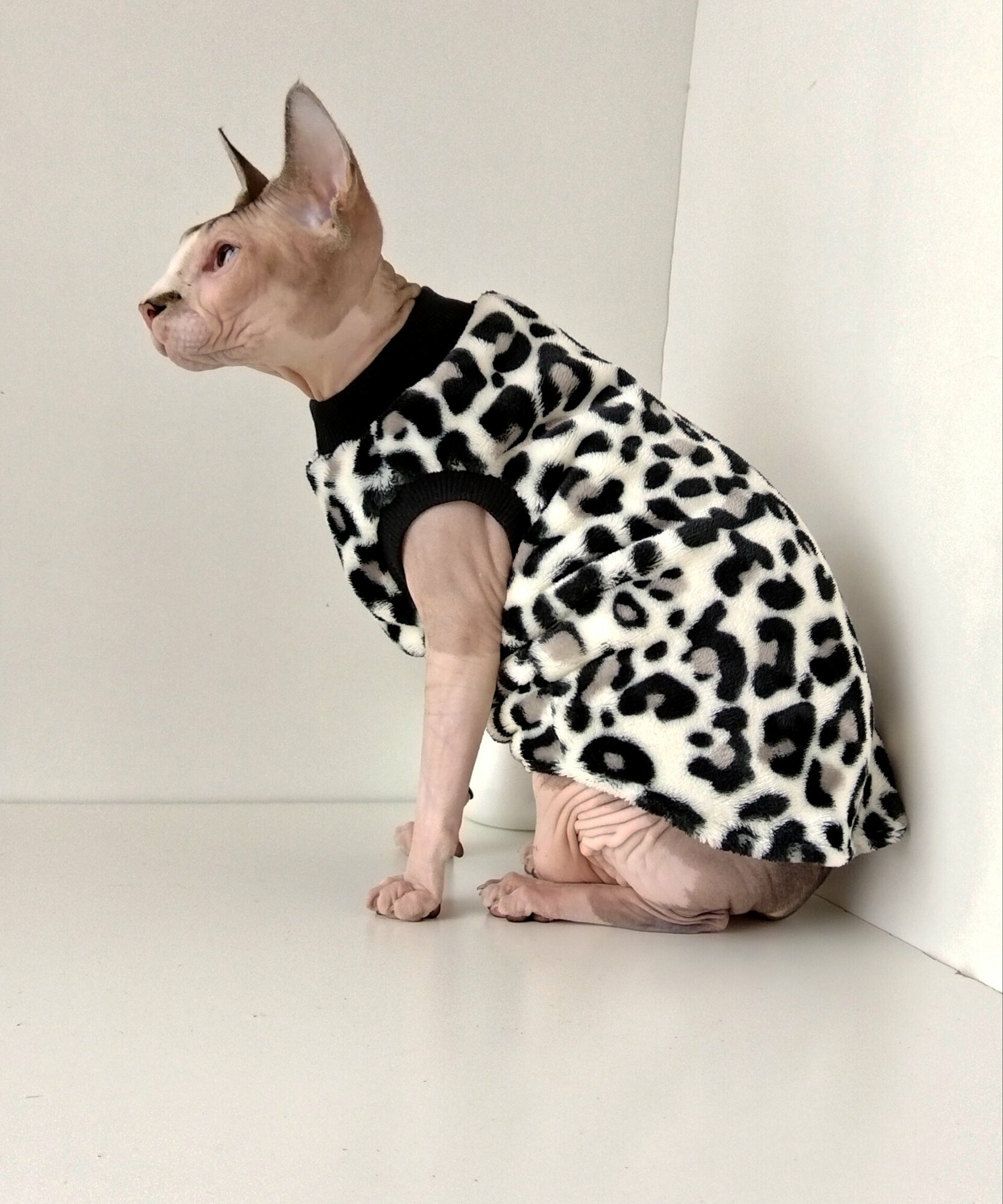 Толстовка, свитер, шуба для кошек сфинкс, размер 30 (длина спины 30см), цвет леопардовый/ Одежда для кошек сфинкс / одежда для животных - фотография № 5