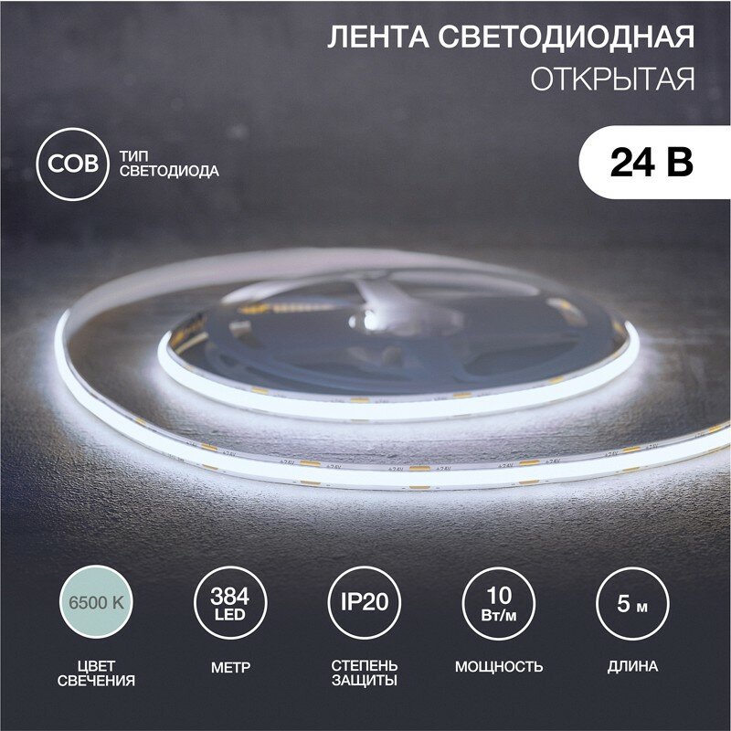 Лента светодиодная Rexant 24В, COB 10Вт/м, 384 LED/м, 6500K, 8мм, 5м, IP20 - фото №1