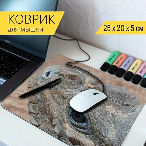 Коврик для мыши с принтом Носорог игуана, игуана, дикая природа 25x20см. коврик для мыши с принтом игуана укладка яйца 25x20см